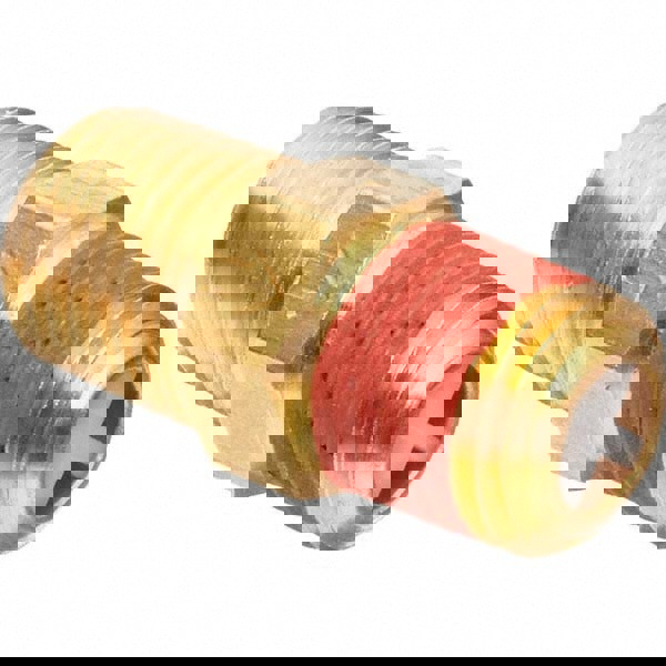 Check Valve: 1/4 x 1/4